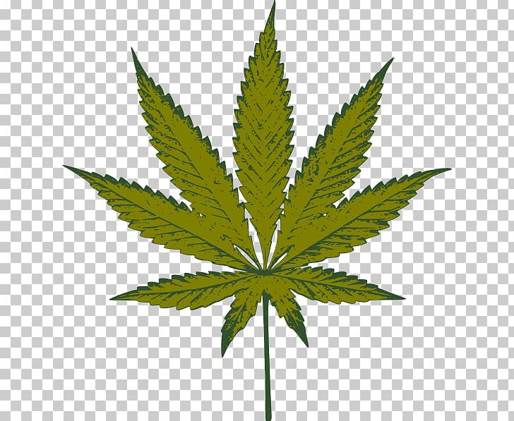 Medical Cannabis Hashish PNG, Clipart, Cannabis, Cannabis Cultivation, Cannabis Sativa, Drug, Hashish Free PNG Download
