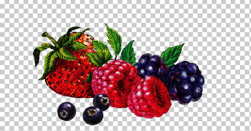 Strawberry PNG, Clipart, Accessory Fruit, Berry, Blackberry, Boysenberry, Bramble Free PNG Download