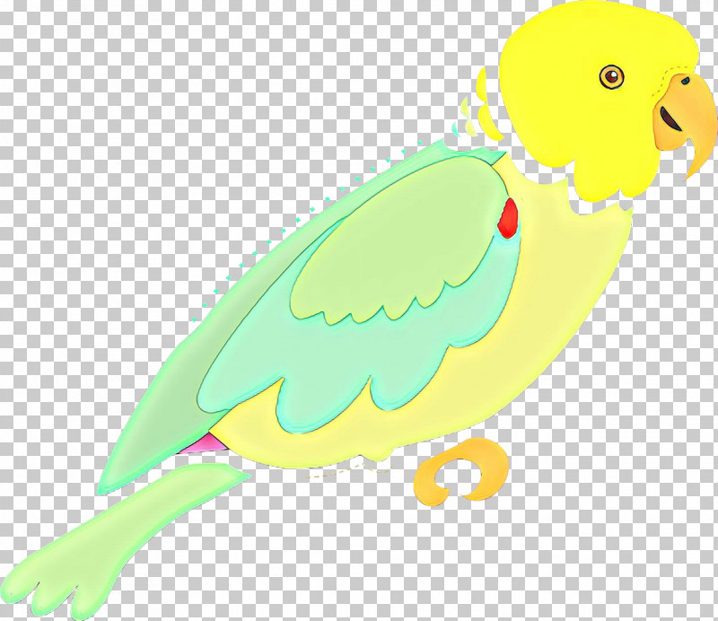 Feather PNG, Clipart, Beak, Bird, Budgie, Feather, Parakeet Free PNG Download