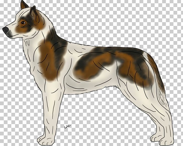 Ancient Dog Breeds Companion Dog Rough Collie PNG, Clipart, Ancient Dog Breeds, Breed, Carnivoran, Collie, Companion Dog Free PNG Download