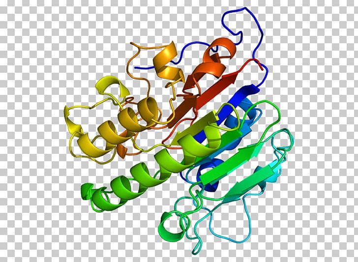 AP Endonuclease APEX1 Protein DNA-(apurinic Or Apyrimidinic Site) Lyase Gene PNG, Clipart, Active Site, Ap Endonuclease, Apex, Artwork, Beta Sheet Free PNG Download