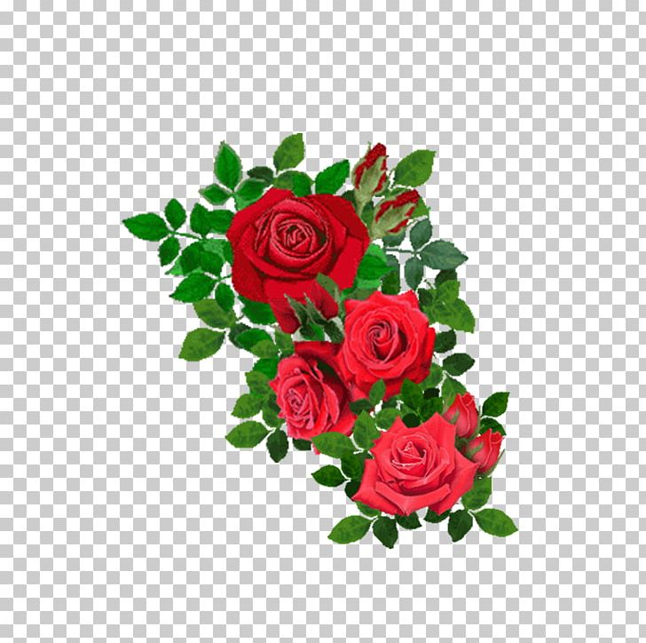 Beach Rose Flower PNG, Clipart, Blog, Cut Flowers, Download, Encapsulated Postscript, Flora Free PNG Download