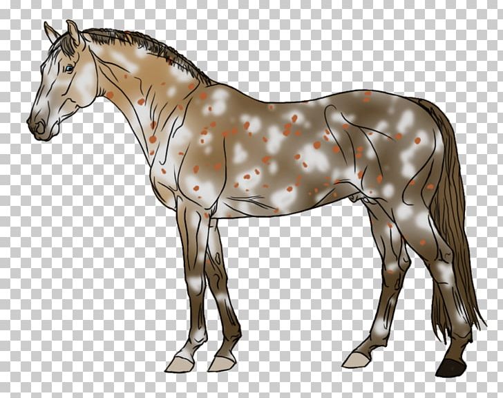 Mule Foal Stallion Halter Mare PNG, Clipart, Animal Figure, Bridle, Colt, Dog Harness, Foal Free PNG Download