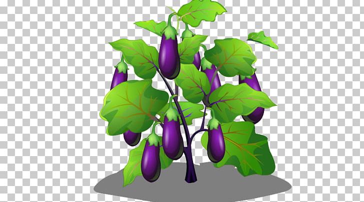 Eggplant Cartoon PNG, Clipart, Bal, Cartoon, Cartoon Couple, Cartoon Eyes, Christmas Tree Free PNG Download