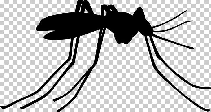 Mosquito Control Insect Pest Control PNG, Clipart, Artwork, Black, Black And White, Computer Icons, Face Free PNG Download