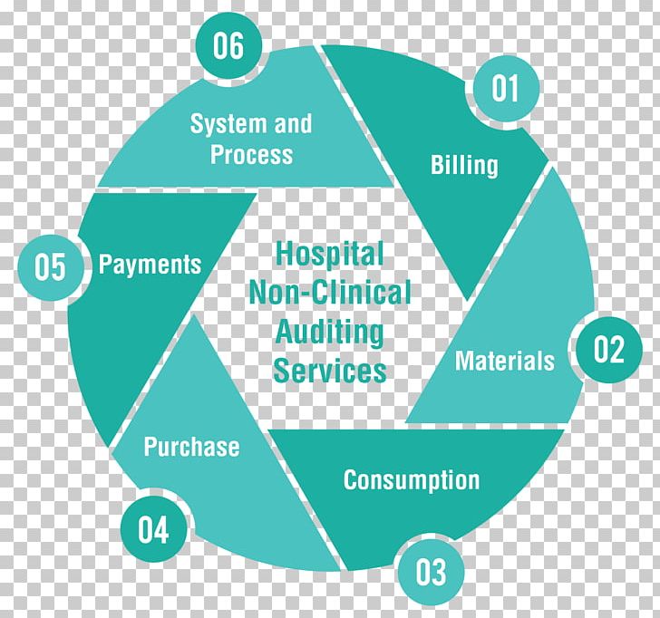 Service Health Care Audit Company Hospital PNG, Clipart, Audit, Brand, Business, Circle, Clinic Free PNG Download