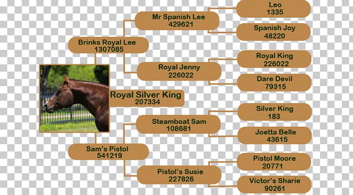 Thoroughbred Mane Horse Breeding Horse Racing Selective Breeding PNG, Clipart, Breed, Competition, Equestrian, Faster Horses, Genetics Free PNG Download