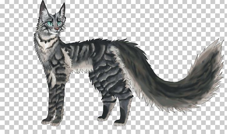 Maine Coon American Wirehair Kitten Warriors Tabby Cat PNG, Clipart, American Wirehair, Animal, Animals, Black Cat, Carnivoran Free PNG Download