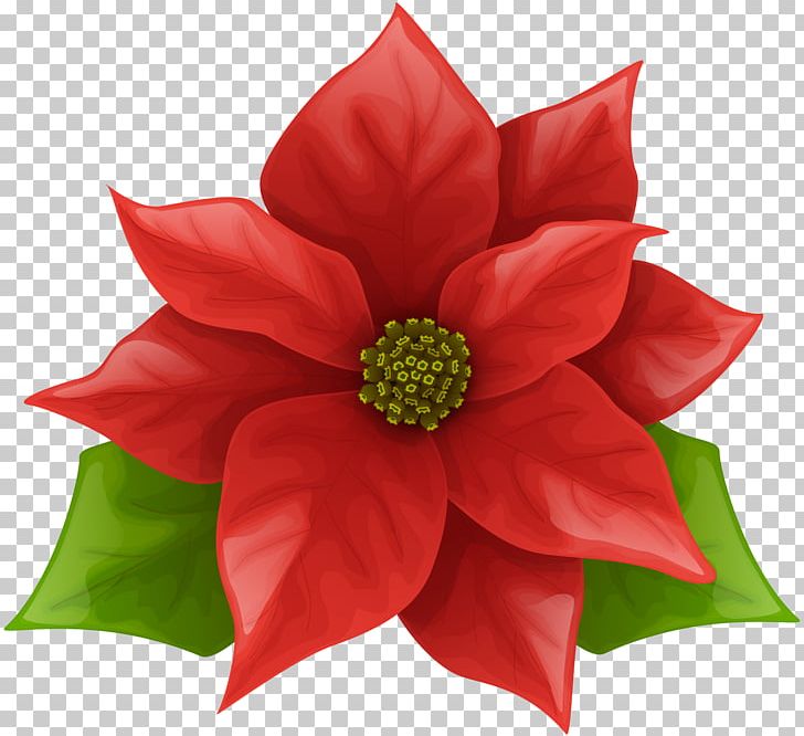 Poinsettia PNG, Clipart, Art Christmas, Christmas, Christmas Clipart, Christmas Decoration, Christmas Poinsettia Free PNG Download