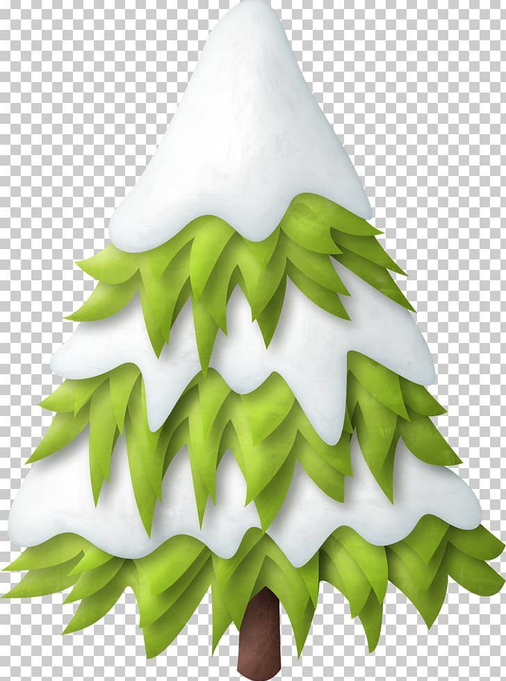 Tree Pine PNG, Clipart, Christmas, Christmas Tree, Conifer, Fir, Grass Free PNG Download