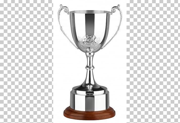 Trophy Award Cup Plating Silver PNG, Clipart, Award, Commemorative Plaque, Cup, Engraving, Glass Free PNG Download