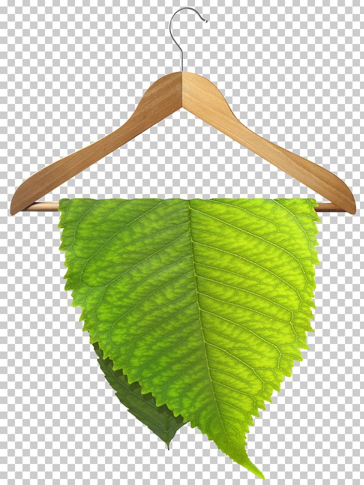 Eco Friendly Dry Cleaning Wet Cleaning Environmentally Friendly PNG, Clipart, Cleaner, Cleaning, Clothing, Detergent, Dress Free PNG Download