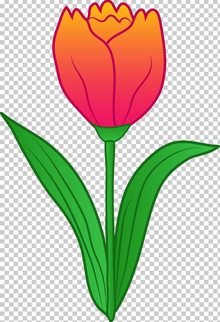 Tulip Free Content Flower PNG, Clipart, Blog, Cartoon Flower Cliparts, Flower, Flower Bouquet, Flowering Plant Free PNG Download