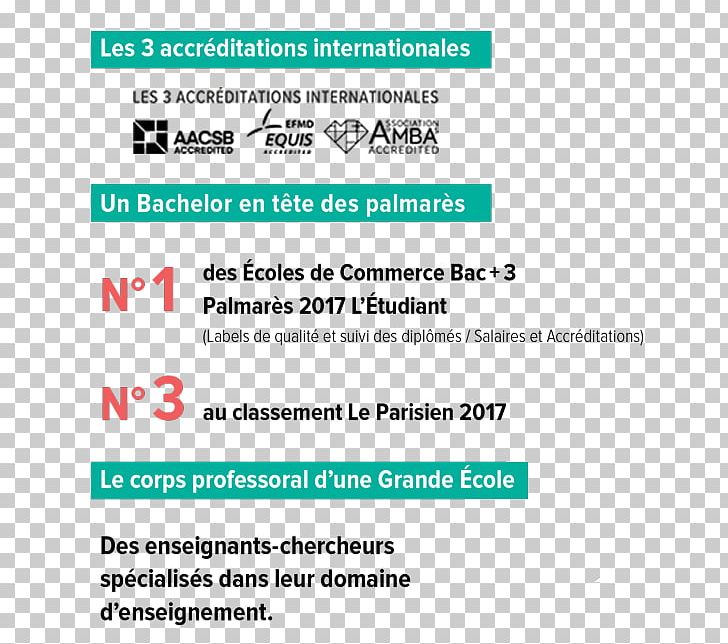 Toulouse Business School Casablanca Organization Management PNG, Clipart,  Free PNG Download