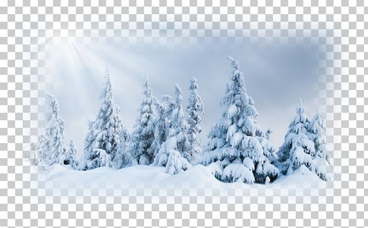 Ultraviolet Winter Snow PNG, Clipart, Arctic, Computer Wallpaper, Conifer, Duvar , Eye Free PNG Download