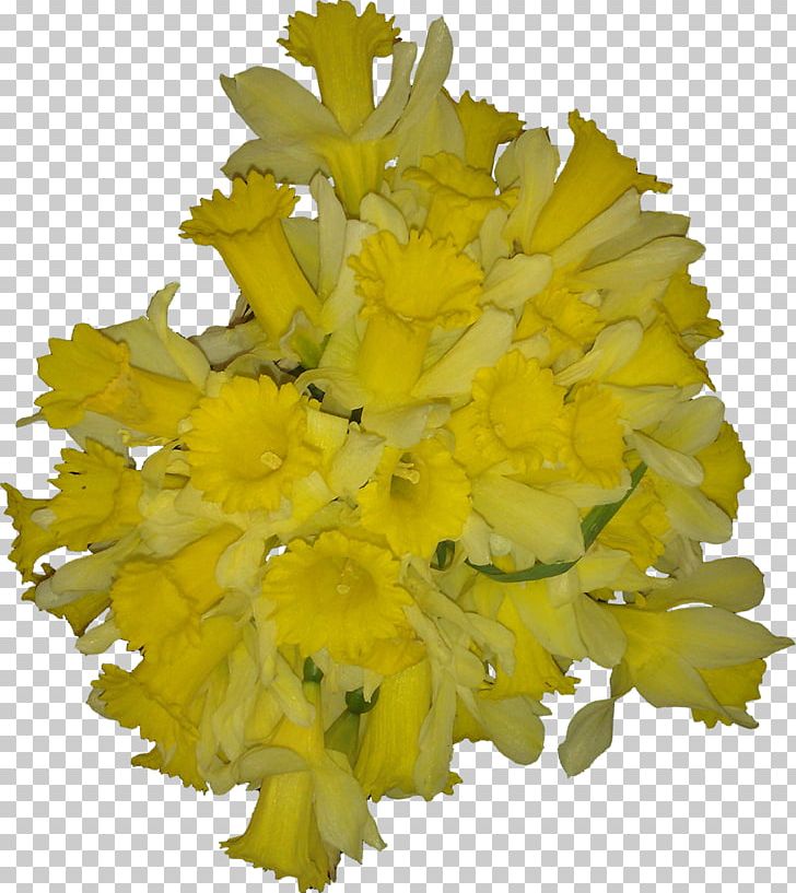 Cut Flowers Petal Wedding Flower Bouquet PNG, Clipart, Bride, Brides, Chrysanthemum, Cut Flowers, Flower Free PNG Download