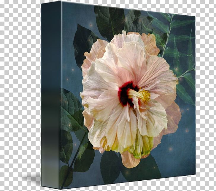 Gallery Wrap Hibiscus Mallows Flowering Plant PNG, Clipart, Annual Plant, Art, Canvas, Flower, Flowering Plant Free PNG Download