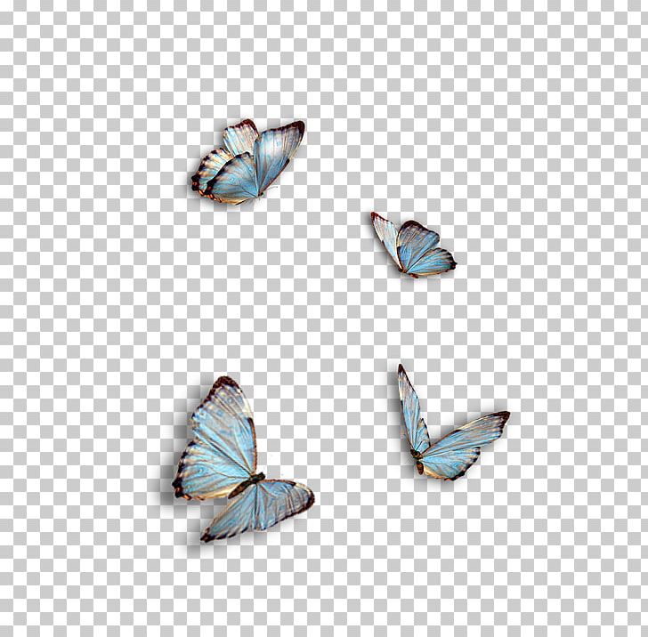 Portable Network Graphics Desktop Photography PNG, Clipart, Butterfly, Desktop Wallpaper, Download, Image Resolution, Insect Free PNG Download