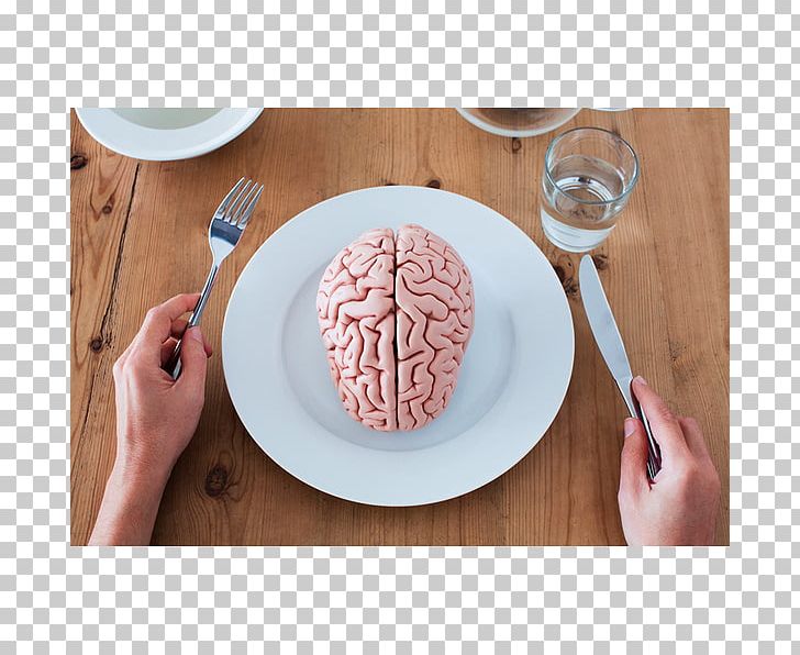Xuzhou Medical University Human Brain Agy Human Anatomy PNG, Clipart, Agy, Brain, Cerebral Hemisphere, Dishware, Getty Images Free PNG Download