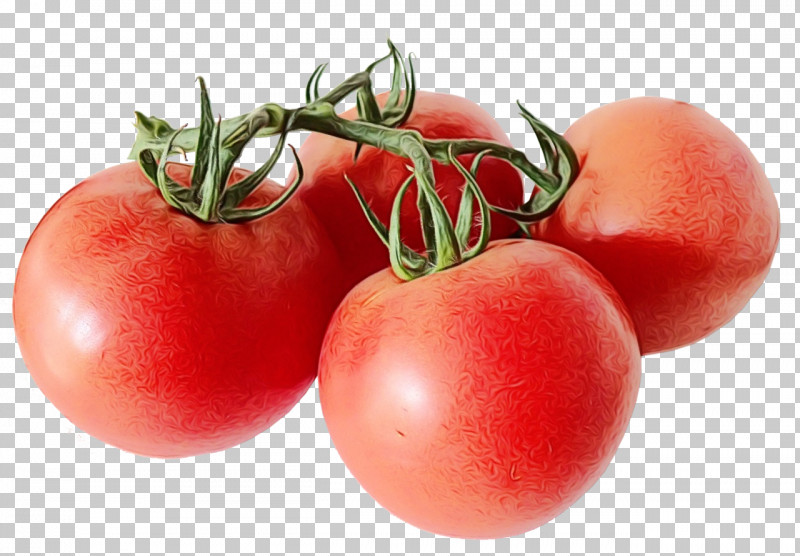 Tomato PNG, Clipart, Bush Tomato, Cuisine, Eggplant, Fruit, Health Food Free PNG Download