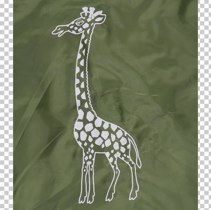 Giraffe Massachusetts Institute Of Technology Neck Terrestrial Animal Wildlife PNG, Clipart, Animal, Fauna, Giraffe, Giraffidae, Mammal Free PNG Download