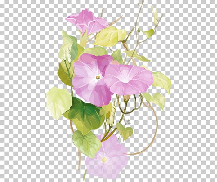 Morning Glory Ipomoea Nil Watercolor Painting Flower PNG, Clipart, Annual Plant, Art, Bloom, Cicek, Cicek Resimleri Free PNG Download