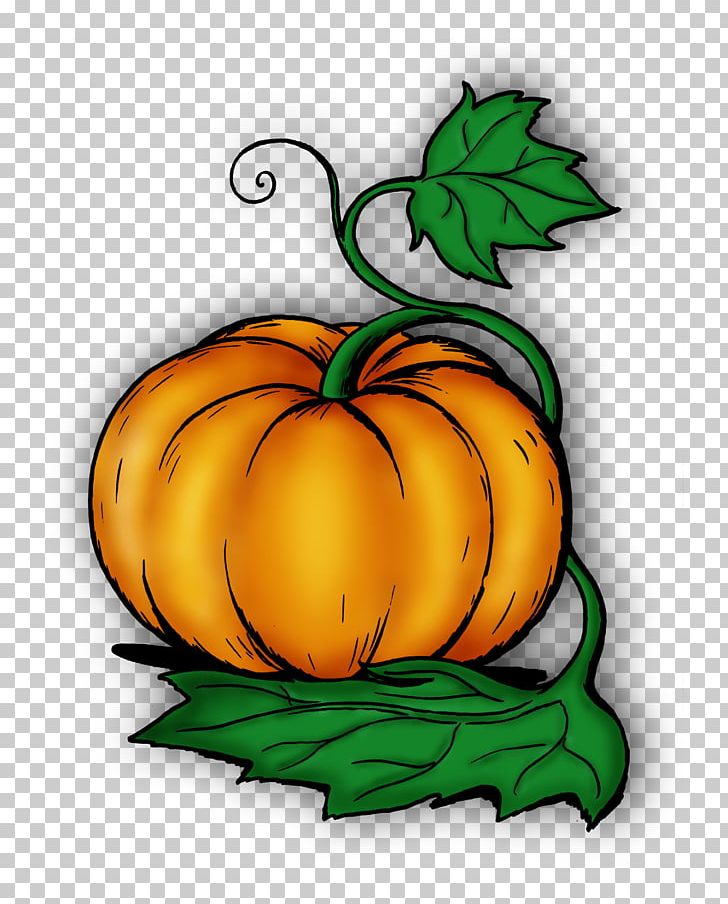 Jack-o'-lantern Gourd Winter Squash Pumpkin Calabaza PNG, Clipart, Calabaza, Cucumber Gourd And Melon Family, Cucurbita, Flower, Flowering Plant Free PNG Download