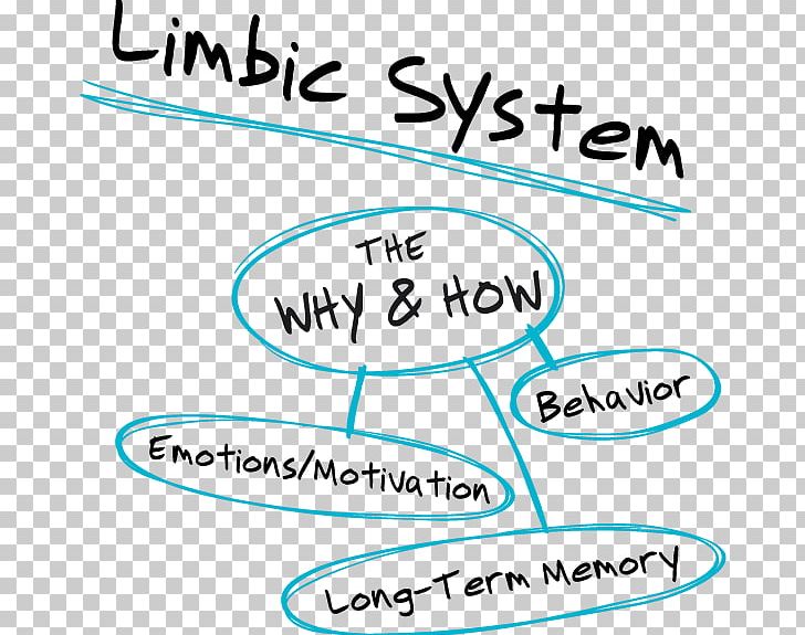 Limbic System Neocortex Triune Brain Hypothalamus PNG, Clipart, Adrenal Gland, Agy, Angle, Area, Autonomic Nervous System Free PNG Download