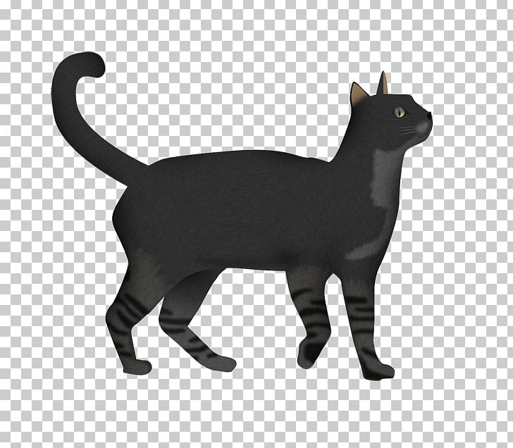 Korat Manx Cat Domestic Short-haired Cat Whiskers PNG, Clipart, Animal, Animal Figure, Black, Black Cat, Bombay Free PNG Download
