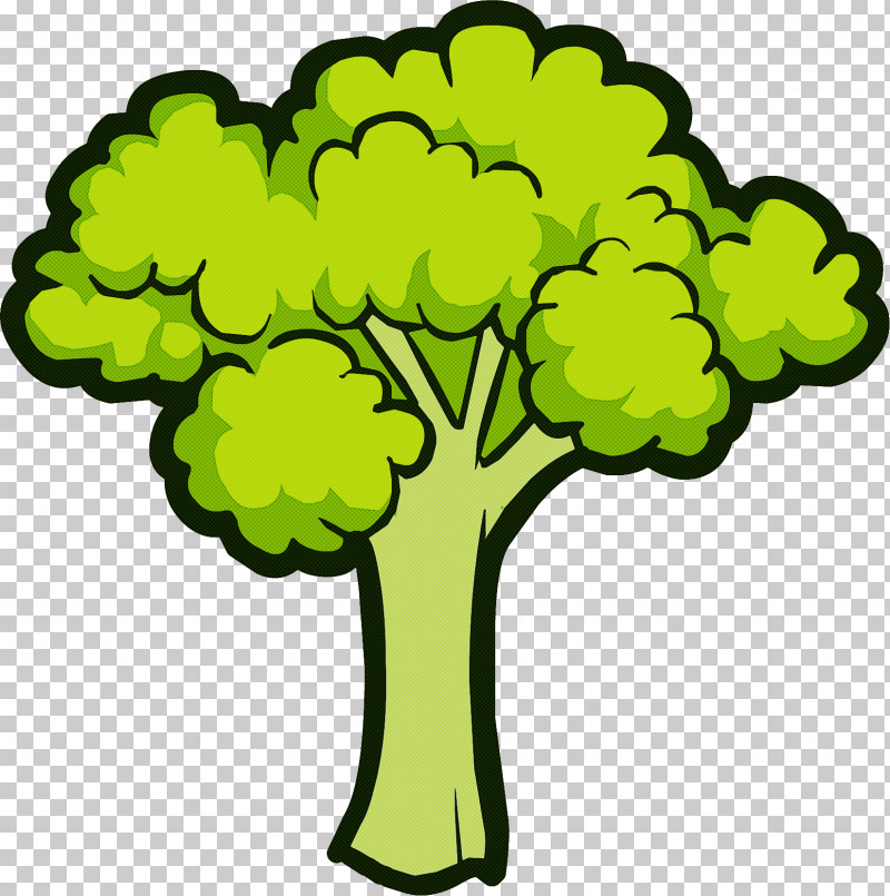 Green Plant Leaf Vegetable Tree Broccoli PNG, Clipart, Broccoli, Flower, Green, Leaf Vegetable, Plant Free PNG Download