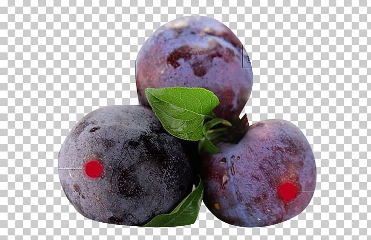 Blueberry Plum Fruit PNG, Clipart, Berry, Black, Blackberry, Black Brin, Blueberry Free PNG Download