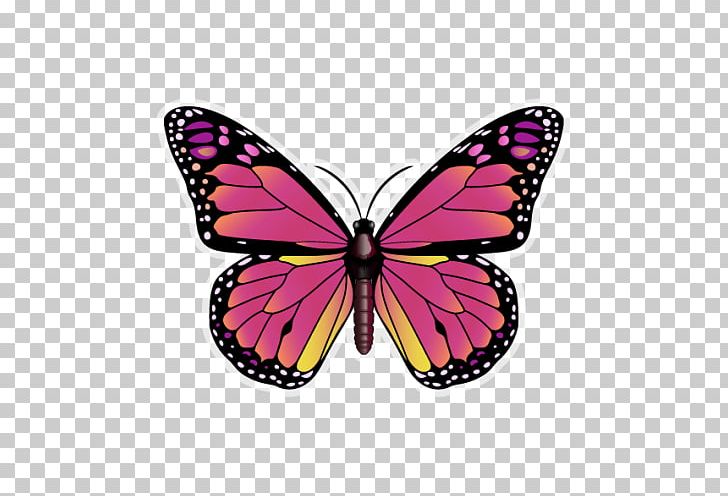 Monarch Butterfly Insect PNG, Clipart, Arthropod, Brush Footed Butterfly, Butterflies And Moths, Butterfly, Drawing Free PNG Download