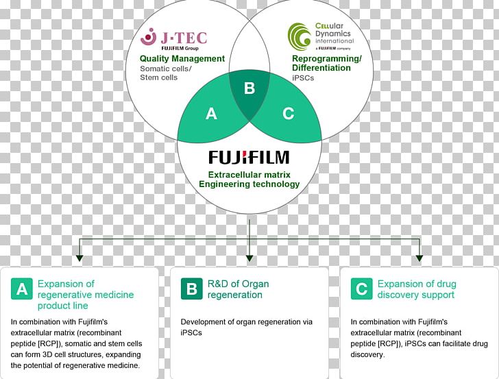 Regenerative Medicine Regeneration Fujifilm Cell Therapy PNG, Clipart, Area, Brand, Cell, Cell Therapy, Diagram Free PNG Download