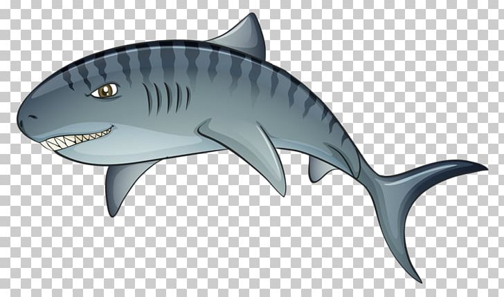 Tiger Shark Tiger Shark Cartoon PNG, Clipart, Animals, Cartilaginous Fish, Cartoon Shark, Cute Shark, Drawing Free PNG Download