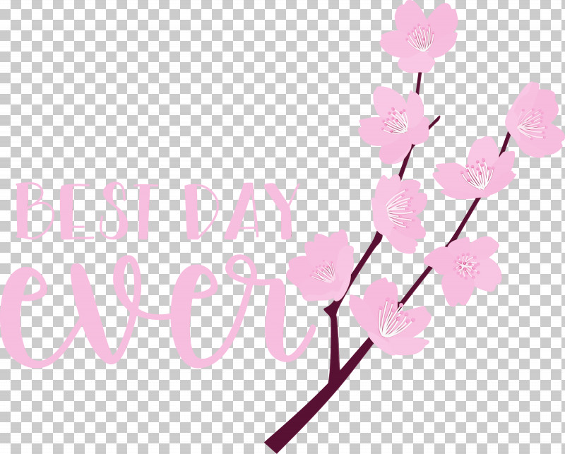 Floral Design PNG, Clipart, Best Day Ever, Biology, Branching, Cherry Blossom, Cut Flowers Free PNG Download