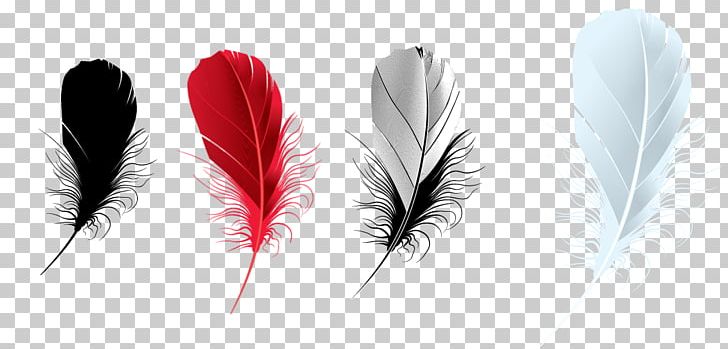 Feather PhotoFiltre PNG, Clipart, Animals, Brush, Desktop Wallpaper, Feather, Ink Free PNG Download