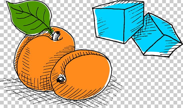 Food Fruit U674eu5b50 PNG, Clipart, Cartoon, Cartoon Character, Cartoon Eyes, Food, Fruit Free PNG Download
