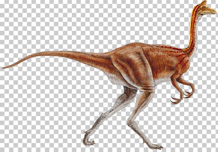 Ornithomimus Ornithomimosauria Nipponosaurus Pelecanimimus Garudimimus PNG, Clipart, Animals, Cartoon Dinosaur, Common Ostrich, Dinosaur Egg, Dinosaur Footprints Free PNG Download