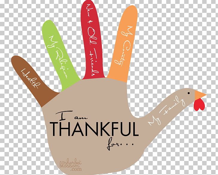 Turkey Meat Template Thanksgiving Paper PNG, Clipart, Art, Coloring Book, Drawing, Finger, Food Drinks Free PNG Download