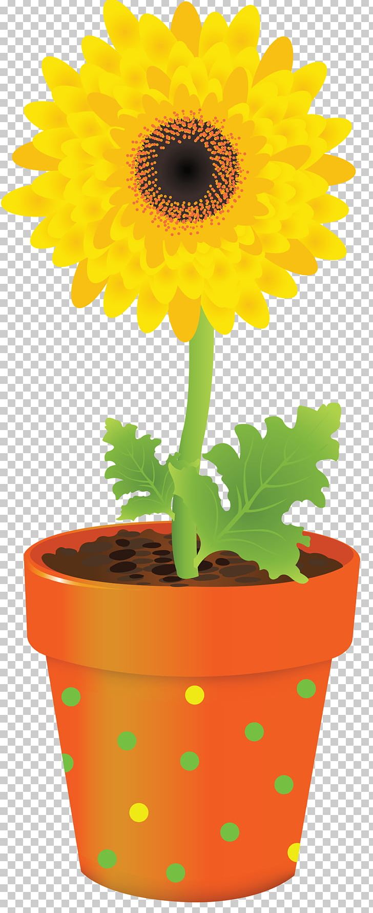 Flowerpot Vase PNG, Clipart, Color, Cut Flowers, Daisy Family, Drawing, Flower Free PNG Download