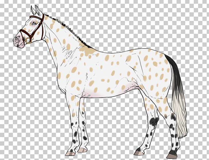 Pony Mustang Foal Mare Stallion PNG, Clipart, Animal Figure, Bridle, Consumer Protection, Foal, Halter Free PNG Download