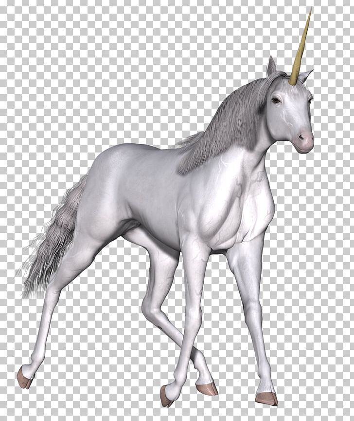 Unicorn Fairy Tale Horse PNG, Clipart, Animal Figure, Bridle, Colt, Elf, Fairy Free PNG Download