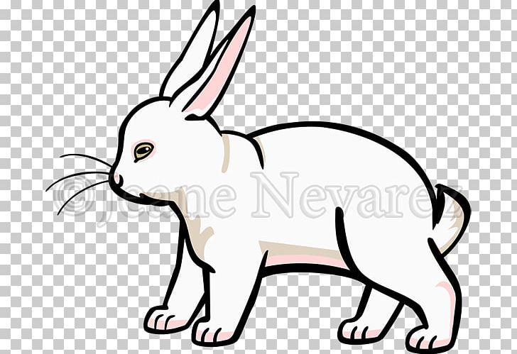 Whiskers Domestic Rabbit Cat Hare PNG, Clipart, Animal, Animal Figure, Animals, Artwork, Black Free PNG Download