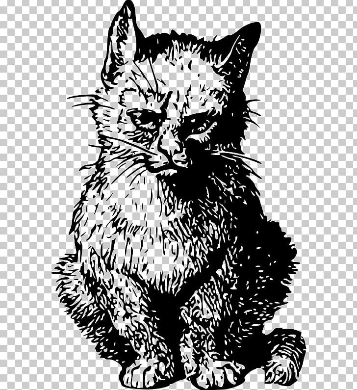 Whiskers Kitten Tabby Cat Domestic Short-haired Cat Wildcat PNG, Clipart, Art, Black, Black And White, Can, Carnivoran Free PNG Download