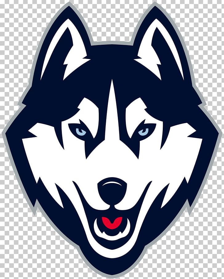 Connecticut Huskies Men's Basketball Connecticut Huskies Football Connecticut Huskies Women's Basketball Connecticut Huskies Men's Ice Hockey University Of Connecticut PNG, Clipart, Animals, Automotive Design, Basketball, Carnivoran, Cat Like Mammal Free PNG Download