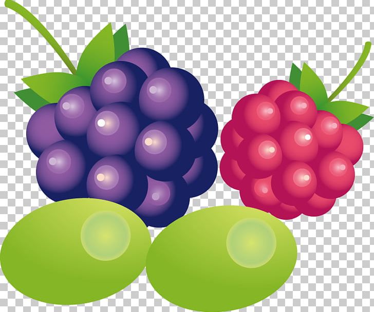 Grape PNG, Clipart, Encapsulated Postscript, Food, Fruit, Fruit Nut, Grape Free PNG Download