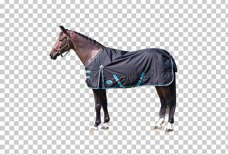 Horse Blanket Equestrian Gallop Horze PNG, Clipart, Animals, Blanket, Bridle, Carpet, Coat Free PNG Download