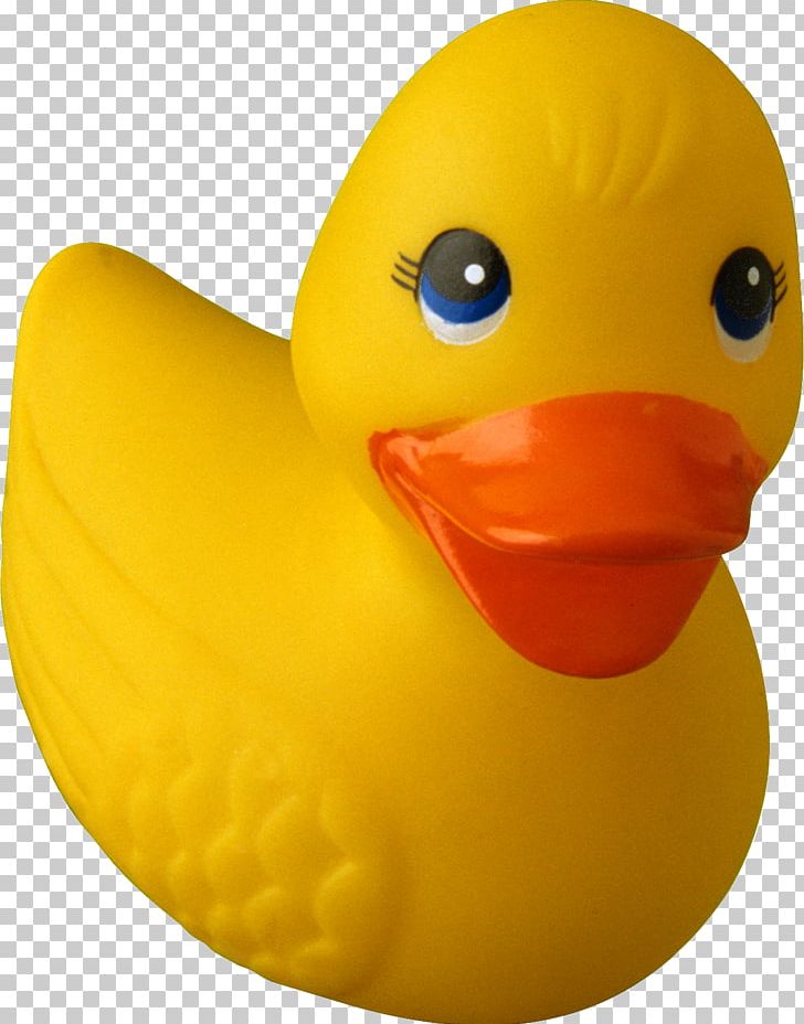 Rubber Ducky PNG, Clipart, Advertising, Animals, Bathtub, Beak, Bird Free PNG Download