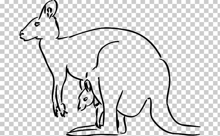 Kangaroo Free Content PNG, Clipart, Artwork, Black, Black And White, Carnivoran, Cat Free PNG Download