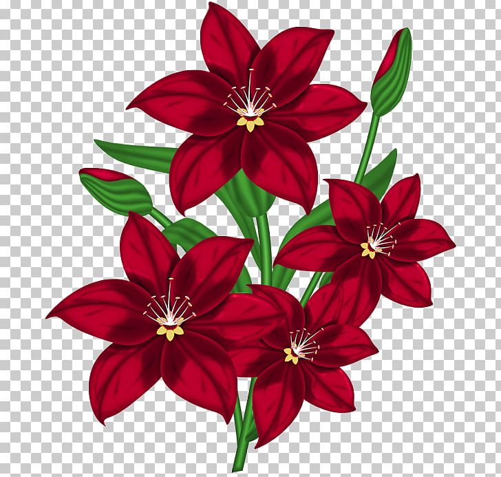 Flower Red PNG, Clipart, Arumlily, Clipart, Clip Art, Color, Cut Flowers Free PNG Download